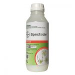 specticle-400x400