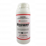 segway-website-packshot-size